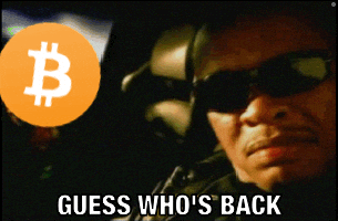 Dr Dre Meme GIF by Crypto Memes